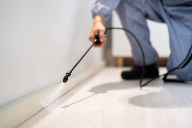 Rodent Entry Point Assessment in Denver