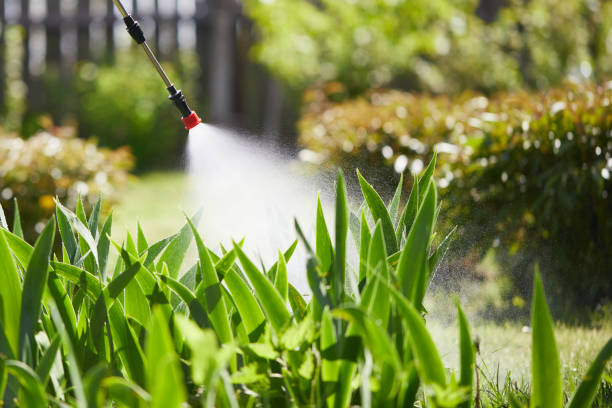 Tamper-Resistant Bait Stations for Rodents in Denver
