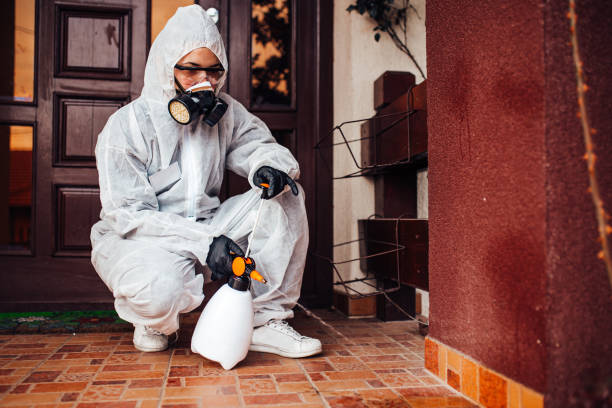 Attic and Crawl Space Rodent Treatment in Denver